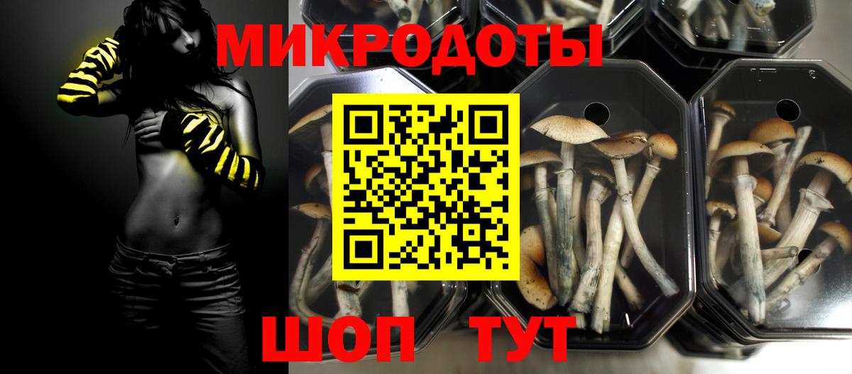 Галлюциногенные грибы Psilocybine cubensis  Вход с VPN  Выборг 
